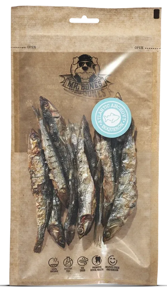 Sardela atlantická
