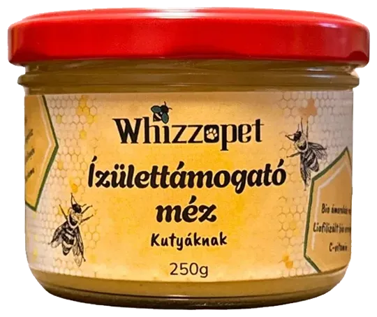 Med na podporu kĺbov pre psov