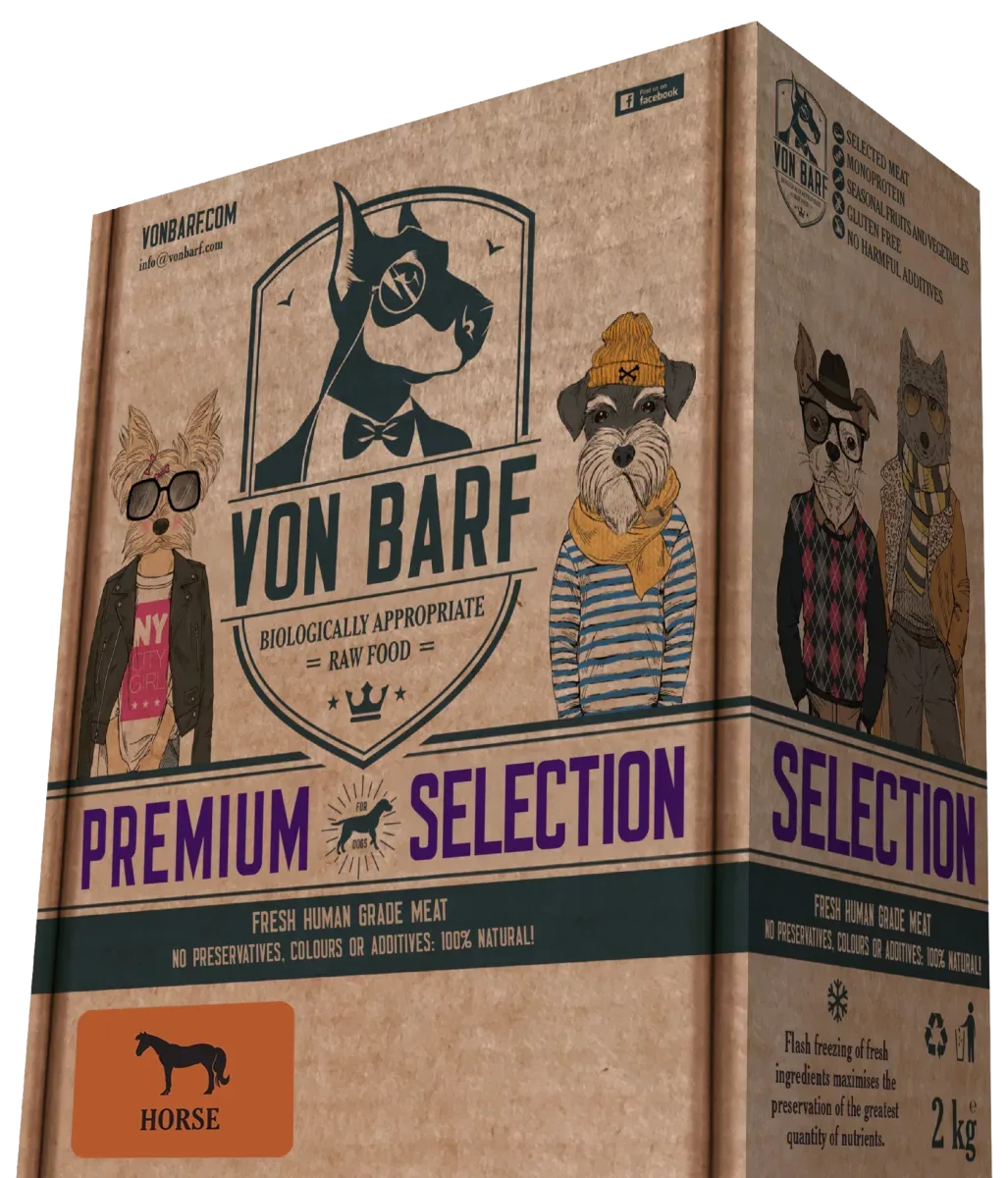 Premium Selection Kôň