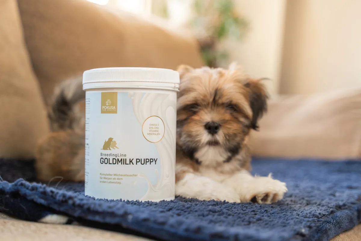 Náhrada mlieka pre šteniatka GOLDMILK PUPPY | BreedingLine