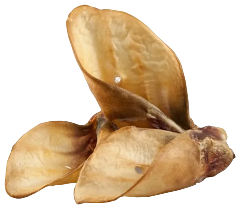 Hovädzie sušené ucho