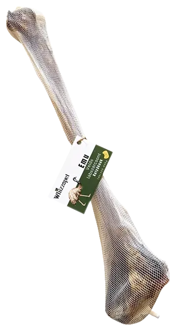 Sušená pštrosia kosť s dreňou