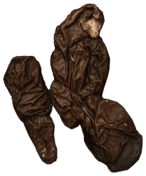 Sušené hovädzie obličky