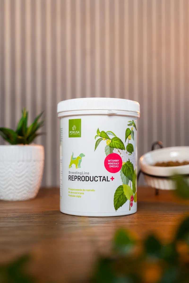 Doplnok stravy pre sučky Reproductal+ | BreedingLine